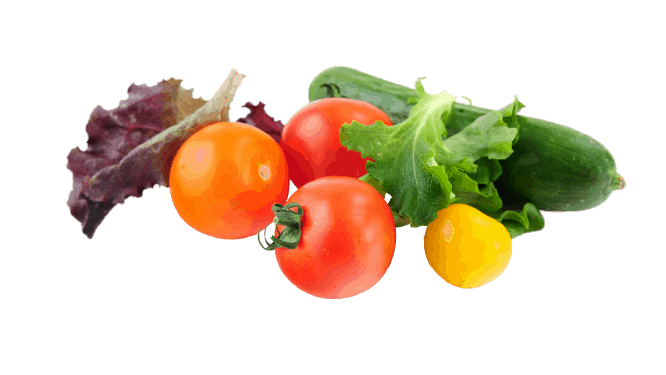 Akorn edible coating for vegetable category