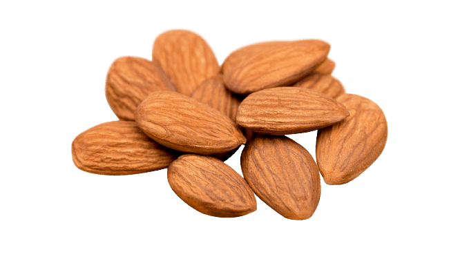 Akorn edible coating for shelled nuts category