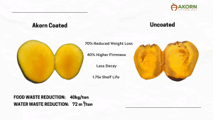 Akorn mango vs untreated mango