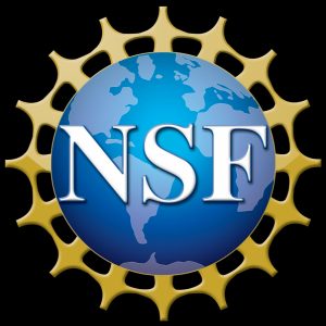 Akorn awarded NSF SBIR Phase II Fund